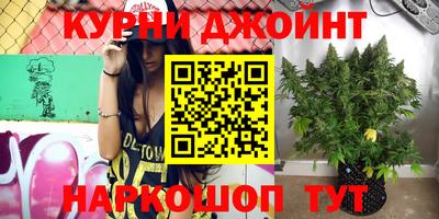 хмурый Тула